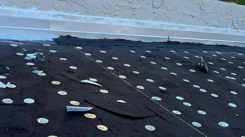 Flat roof membrane fastened with rows of cap nails